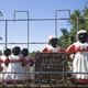 Collection of Aunt Jemima statuettes outdoors.